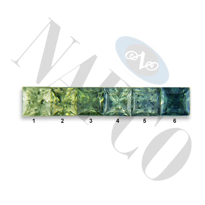 Nafco Gems GSpc4059.jpg