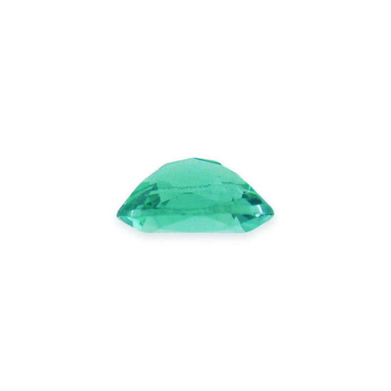 Nafco Gems PATO7860ov45b.jpg