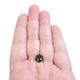 Loose Round Rose-Cut Untreated Umba Black Sapphire