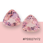 Nafco Gems PS5027trl72.jpg